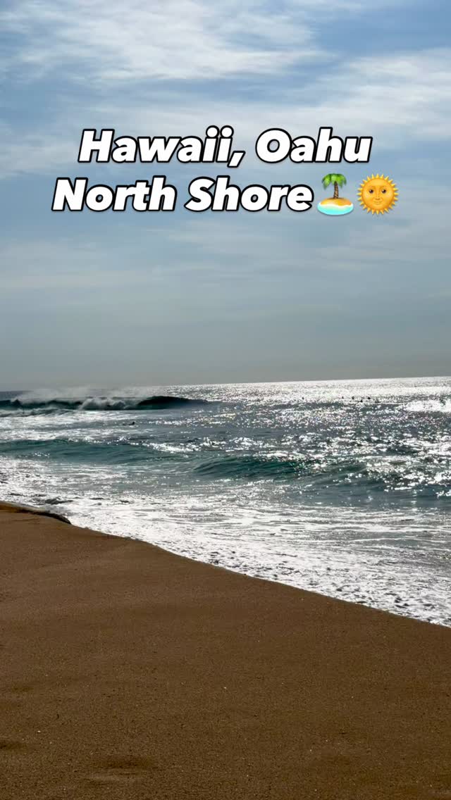 ✨ Leave Your Worries Behind, Escape the City & Enjoy Life 🌴☀️ Kalani Hawaii North Shore 🌺

Slow down, breathe deep, and reconnect with what matters.
☀️ Sunrise coffee on the lanai, 🌊 barefoot walks on the beach, 🌸 lush gardens, and sunsets you’ll never forget.
No stress. No schedule. Just pure Aloha ❤️

🌎 Your North Shore escape is waiting, are you coming?

🏝️Tired of the noise, and stress? Escape the City at Kalani Hawaii 🌺

🌞This is your moment to slow down. Relax. Recharge. Reconnect!

☕️Guest sipping coffee on a lanai, barefoot walk on sand, reading a book

🤩Sunset view, waves crashing, smiling people

🦋Come back to nature... and to yourself.

🌸Lush plants, outdoor showers, cozy rooms

❤️No schedules. No stress. Just Aloha and a lot of love!

 

Let the island hold your worries.

 “Kalani Hawaii Private Lodging”

“Your peaceful North Shore escape 🌴”
🌐 www.kalanihawaii.com
📞 +1 (808) 781-6415
#KalaniHawaii #NorthShoreOahu #TravelHawaii #VisitHawaii #hotelsHawaii