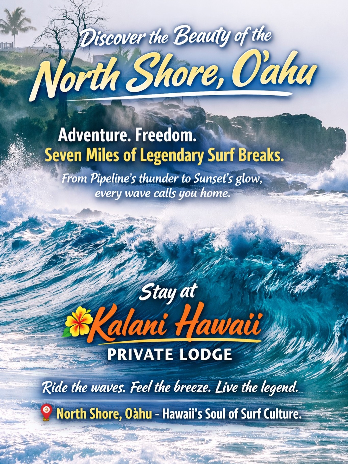 🌺 Discover the Magic of Oʻahu’s North Shore, Summer Edition! 🏝️

Looking for a peaceful island escape away from the crowds? Summer on the North Shore is your hidden gem.

✨ Why stay at Kalani Hawaii Private Lodging this summer?
✔️ Calm, crystal-clear beaches perfect for swimming & snorkeling
✔️ Golden sunsets, warm breezes & tropical vibes
✔️ Comfortable, clean rooms just steps from the ocean
✔️ Lush gardens, outdoor showers, and full kitchen access
✔️ Easy parking, friendly hosts & relaxed atmosphere
✔️ Ideal for long stays, solo travelers, couples & creatives

🌊 No big waves, no stress, just pure aloha.

Come enjoy the quieter side of paradise and feel like a local in Haleiwa.

📞 Book direct: www.kalanihawaii.com

  Email: info@kalanihawaii.com

WhatsApp:+1 (808) 781-6415

📍 North Shore Oʻahu – where your summer memories begin 🌞

#NorthShoreOahuHotel  #SharkTours #ScubaDiving #SkyDiving #fishingTours KalaniHawaii NorthShoreOahu HawaiiAdventures SurfStay Hawaii BeachVibes privateLodge HawaiiVacationRental HawaiiAccommodations IslandGetaway TravelersLongStayHaleiwaHawaii HawaiiVacation StayInHawaii
