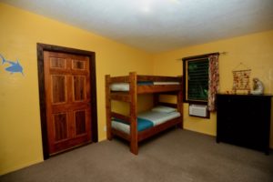 Bird of Paradise (Dorms)