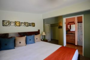 Pink Ginger Room (3)