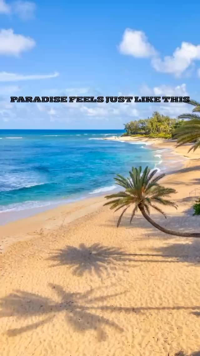 Wake up near world-famous beaches, legendary surf, breathtaking sunsets, and the true spirit of Aloha. At Kalani Hawaii Private Lodging, you’re perfectly located to experience the best of Hawaii. 

#OahuNorthShore #KalaniHawaii #HawaiiVacation #VisitHawaii #PlacesToStay