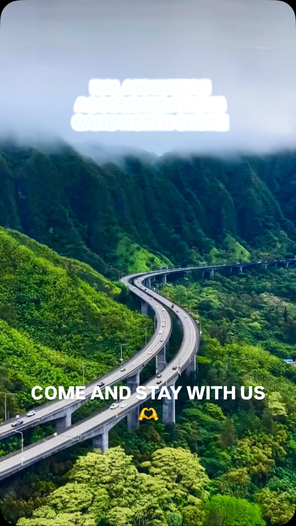 STAY IN PARADISE | DISCOVER OAHU’S NORTH SHORE

Experience the magic of Hawaii at Kalani Hawaii Private Lodging, where tropical gardens, legendary surf, beautiful beaches, and the spirit of aloha come together. Your unforgettable North Shore getaway starts here!

SURF, BEACHES & ISLAND ADVENTURES

Walk to Sunset Beach, Rocky Point, and Banzai Pipeline. Discover Waimea Bay and Shark’s Cove, watch world-class surfers, enjoy breathtaking sunsets, and experience authentic North Shore island life.

YOUR TROPICAL HOME AWAY FROM HOME

BOOK DIRECT & STAY WITH US!

 www.kalanihawaii.com
Email: info@kalanihawaii.com
 WhatsApp: +1 (808) 781-6415

Looking for North Shore Oahu lodging, an Oahu hotel alternative, Hawaii hostel, vacation rental, or Airbnb-style stay? Enjoy cozy private rooms, spacious suites, or shared dorms surrounded by lush tropical gardens.

RELAX & ENJOY THE ALOHA SPIRIT

Unwind in our peaceful gardens, enjoy kitchen access, outdoor showers, relaxing hammocks, and free parking. Experience Hawaii beyond the resorts!

#NorthShoreOahu #NorthShoreOahuLodging #NorthShoreOahuHotel #NorthShoreHawaiiHostel #OahuVacationRental