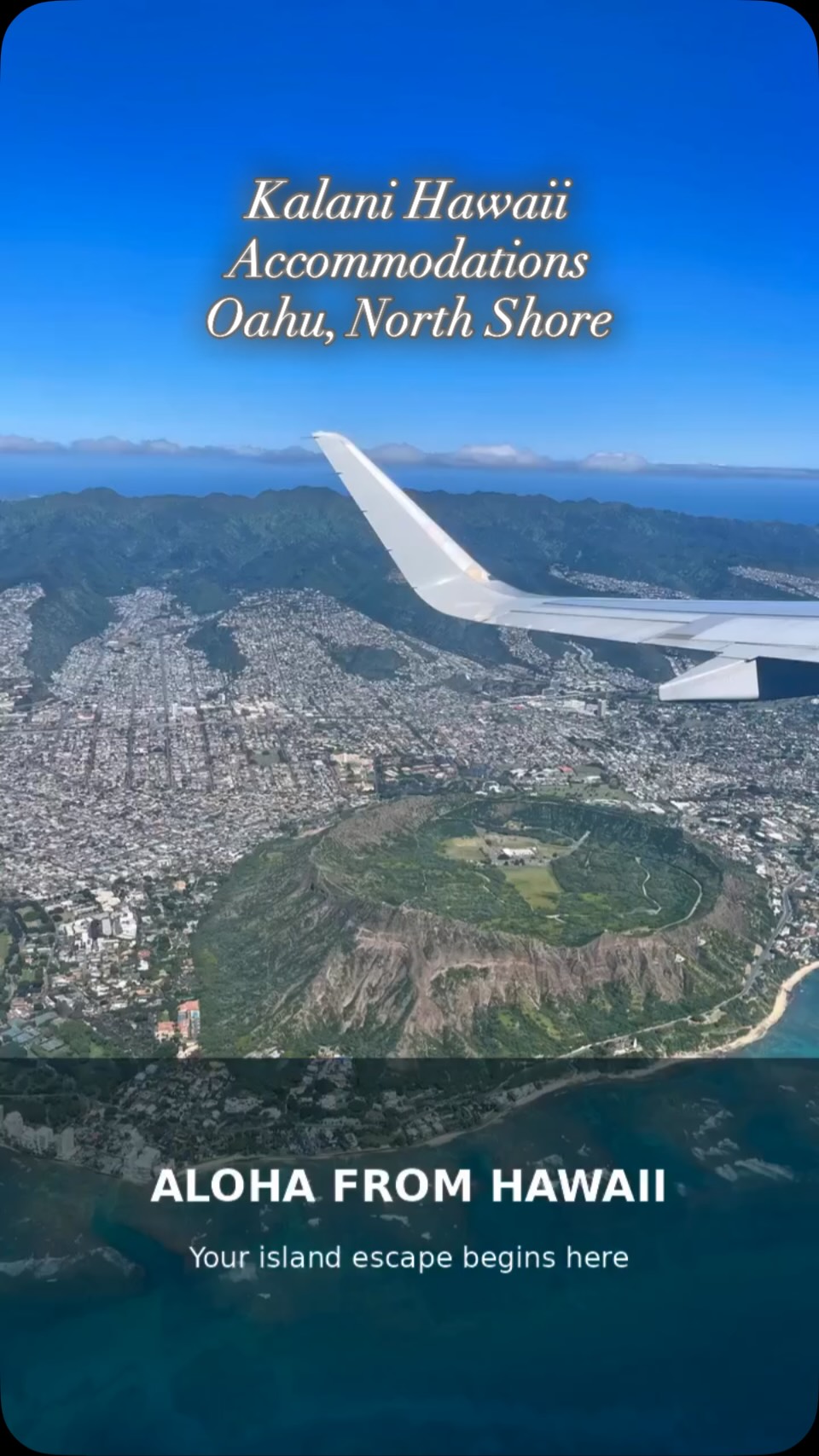 🌺 Your North Shore Hawaii Getaway Starts Here 🌴🌊
Escape the crowds at Kalani Hawaii Private Lodging, a peaceful tropical retreat on Oahu’s legendary North Shore. Enjoy welcoming spaces, island breezes, and unforgettable beach days.
📍 EXPLORE THE NORTH SHORE
Discover Sunset Beach, Banzai Pipeline, Waimea Bay, and Shark’s Cove. Surf famous breaks, snorkel in clear waters, explore nearby beaches, or simply relax beneath the palms.
🏡 FIND YOUR PERFECT STAY
• Private suites and comfortable private rooms
• Shared dorm-style accommodations
• Private or shared kitchens for preparing meals
• Tropical gardens and relaxing outdoor spaces
• Outdoor showers surrounded by greenery
• Free on-site parking
☀️ FEEL AT HOME IN HAWAII
Whether you’re planning a surf trip, a romantic escape, a family vacation, or time to work remotely, enjoy a relaxed setting close to North Shore adventures.
Searching for North Shore Oahu lodging, an Oahu vacation rental, a Hawaii hostel, or a boutique hotel experience? Discover the comfort and personal welcome of Kalani Hawaii.
🌴 Slow down, soak up the aloha spirit and make memories with sunny beach walks and peaceful evenings in the gardens.
🌺 Come for the beaches. Stay for the North Shore lifestyle.
❤️ Book directly: 
🌐 www.kalanihawaii.com
📧 info@kalanihawaii.com
📱 WhatsApp: +1 (808) 781-6415

#KalaniHawaii #NorthShoreOahu #OahuVacationRental #NorthShoreLodging #HawaiiHostel BoutiqueHotel SunsetBeach BanzaiPipeline WaimeaBay OahuTravel HawaiiVacation  BookDirect OahuNorthShoreAirbnb PlacesToStayOnOahuNorthShore WorldNews