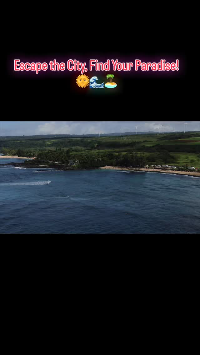 ✨ Escape the City, Find Your Paradise 🌴☀️

  Kalani Hawaii North Shore 🌺

🏝️Tired of the noise, and stress?
Slow down, breathe deep, and reconnect with what matters.
☀️ Sunrise coffee on the lanai, 🌊 barefoot walks on the beach, 🌸 lush gardens, and sunsets you’ll never forget.
🤩Sunset view, waves crashing, smiling people 
🦋Come back to nature... and to yourself. 
🌸Lush plants, outdoor showers, cozy rooms 
No stress. No schedule. Just pure Aloha ❤️
🌎 Your North Shore escape is waiting, are you coming?

#KalaniHawaii #NorthShoreOahu #TravelHawaii #VisitHawaii #EscapeToParadise #IslandLife #TropicalParadise #DreamGetaway #Wanderlust #ExploreParadise #AlohaSpirit #BeachVibes #OceanLovers #BeautifulDestinations #TravelGoals #BucketListTravel #RelaxInParadise #IslandAdventure #SurfHawaii #HawaiiVacation #TravelAddict #NorthShoreHawaii #TropicalVibes #MindfulTravel #Wanderlust #TravelTheWorld #ExploreParadise #BeautifulDestinations # #RelaxInParadise #WellnessTravel #LongStays