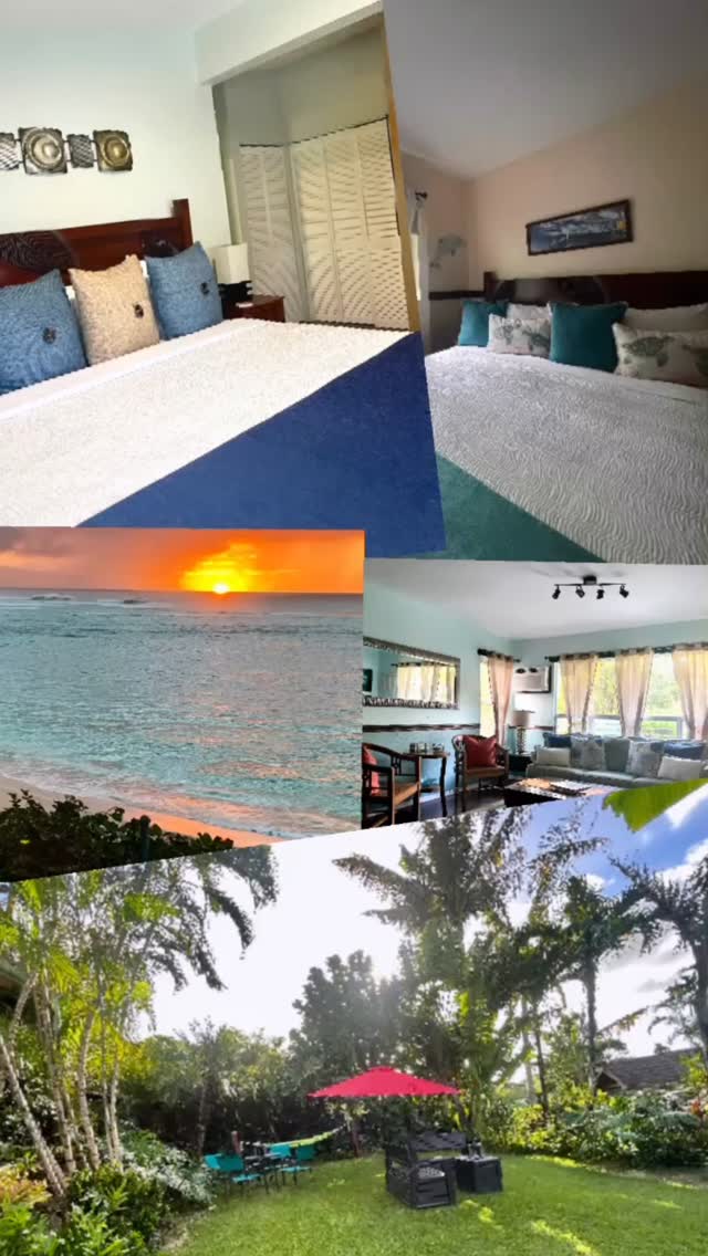 ✨ Winter on the North Shore = Magic! ❄️🌊
🏄‍♂️ Surf Contest Season is ON! Pipeline • Sunset • Waimea 🔥

Escape the noise… come enjoy Hawaii’s most tropical hidden gem.
At North Shore Lodge Hawaii, you’re just minutes from the world’s most famous beaches — with comfort, privacy, and the true Aloha spirit waiting for you. 🌺🌴

🌊 Steps to surf + beaches
🌺 Perfect for couples, friends & families
🏄‍♀️ Ideal for winter surf season stays

👉 Book Direct: info@kalanihawaii.com
🌐 Website: https://www.kalanihawaii.com
📱 WhatsApp: https://wa.me/18087816415

#SurfHawaii #NorthShoreOahuHawaii #NorthShoreOahuAccomodations #HotelsOnOahuNorthShore #BanzaiPipeline
