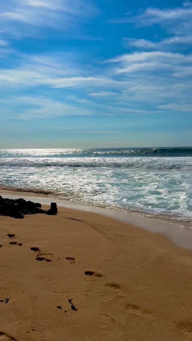 🌺 Experience the Authentic North Shore of Oahu 🌊

Welcome to Kalani Hawaii Private Lodging, where comfort meets the spirit of aloha. Located on the beautiful North Shore, our property offers a relaxed and welcoming atmosphere just minutes from world-famous beaches, surf spots, and local dining.

Whether you’re visiting for adventure, relaxation, or both, you’ll enjoy:
✨ Clean and comfortable accommodations
✨ Fully equipped kitchen for your convenience
✨ Easy access to beaches and top attractions

🏝️Tired of the noise, and stress? Escape the City at Kalani Hawaii 🌺

🌞This is your moment to slow down. Relax. Recharge. Reconnect!

☕️Guest sipping coffee on a lanai, barefoot walk on sand, reading a book

🤩Sunset view, waves crashing, smiling people

🦋Come back to nature... and to yourself.

🌸Lush plants, outdoor showers, cozy rooms

❤️No schedules. No stress. Just Aloha and a lot of love!

Make your Hawaii experience unforgettable with a stay that feels like home.

🌐 Book your stay: www.kalanihawaii.com
📧 Email: info@kalanihawaii.com
📞 Phone: +1 (808) 781-6415
💬 WhatsApp: +1 (808) 781-6415

🌴 Reserve your spot today and discover the beauty of the North Shore!

#NorthShoreOahu #HawaiiTravel #StayInHawaii #AirbnbHawaii #AlohaVibes TravelOahu Hotel visit Hawaii SurfLife